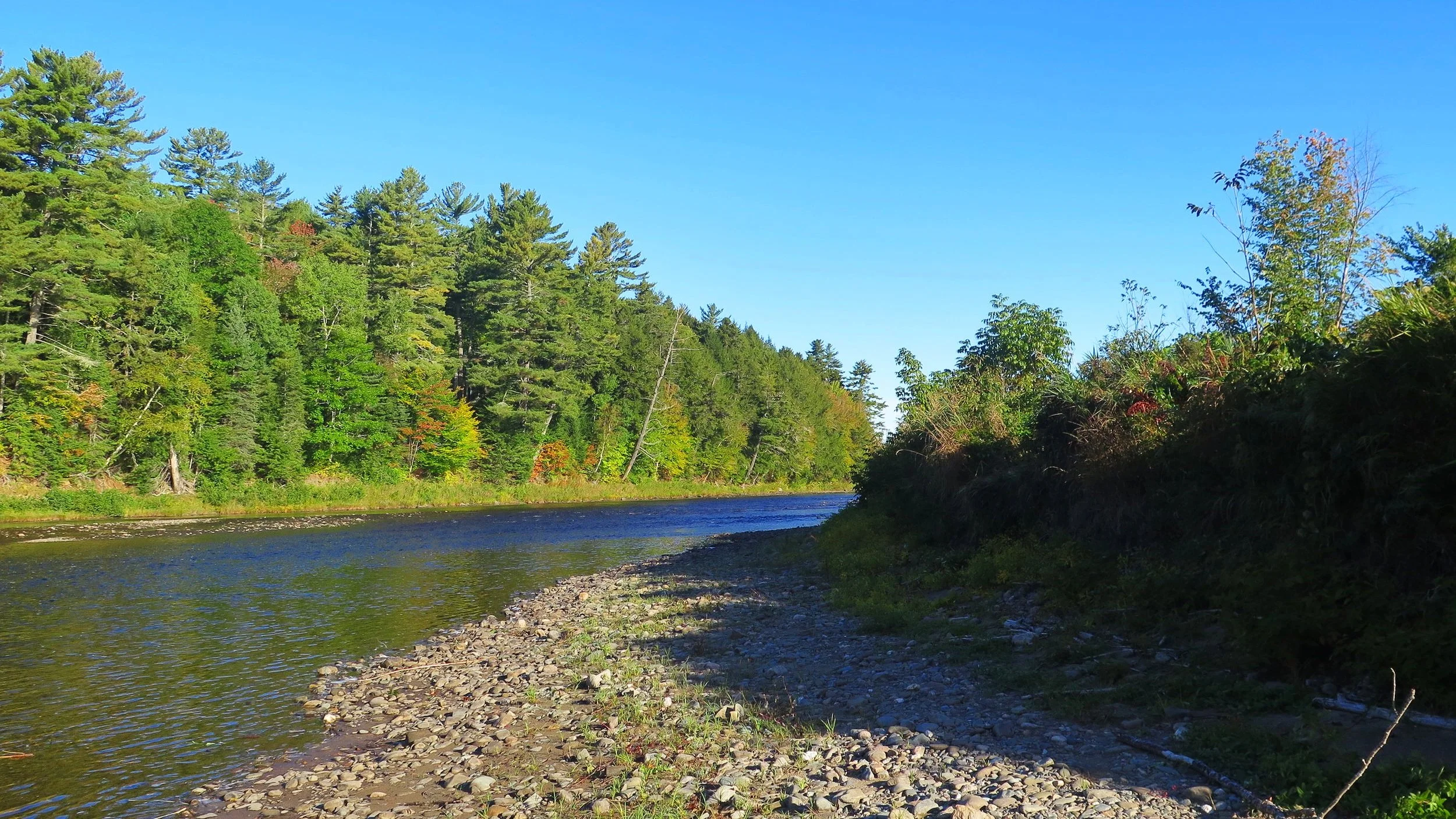 Réserve naturelle de l’île Butternut