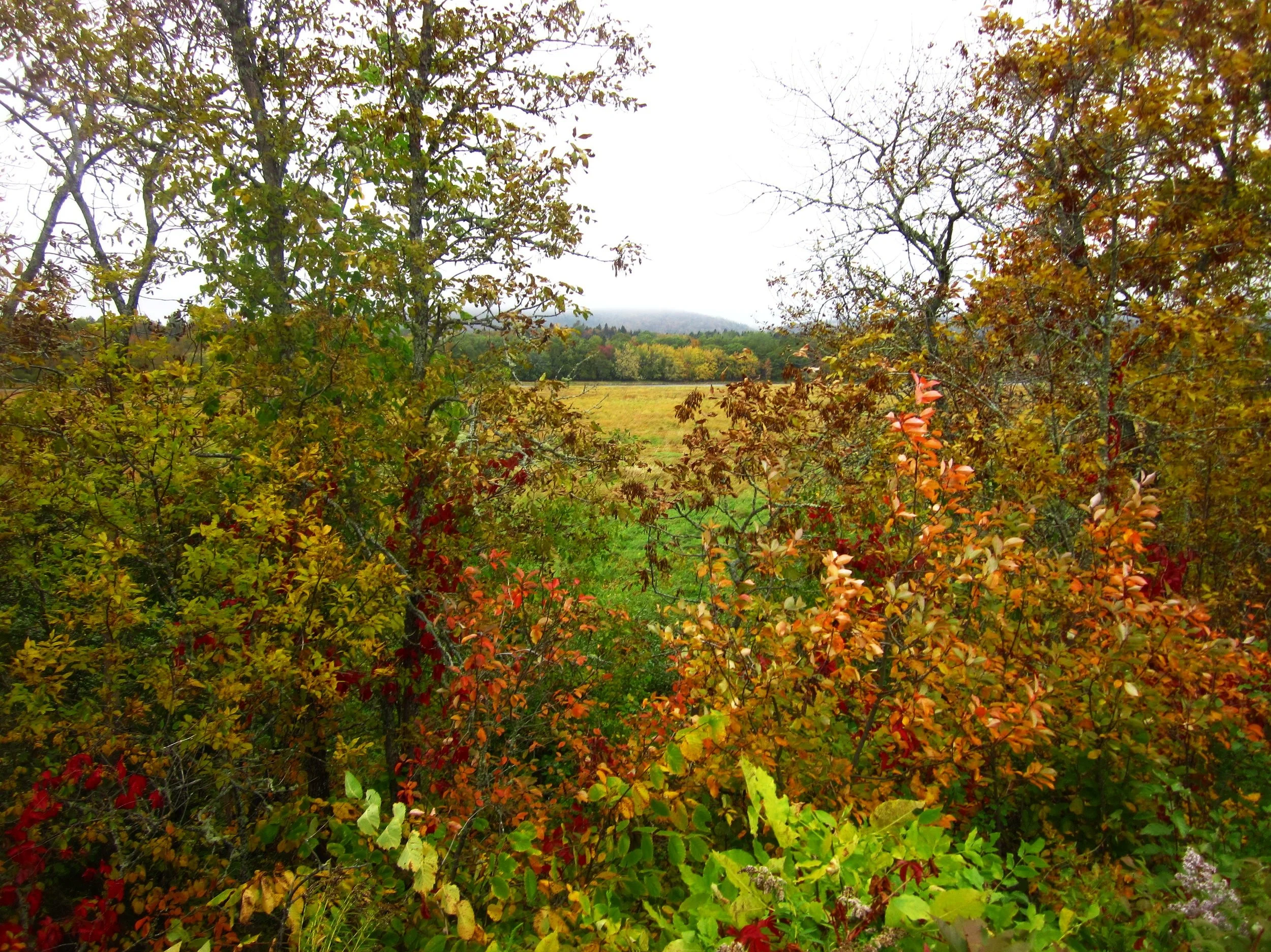 Réserve naturelle du marais Hampton