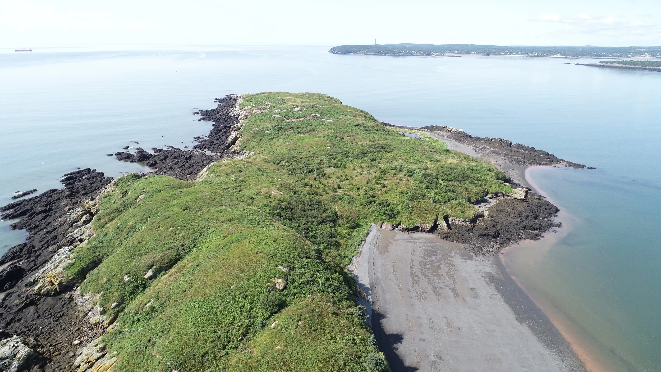 Réserve naturelle de l’île Manawagonish