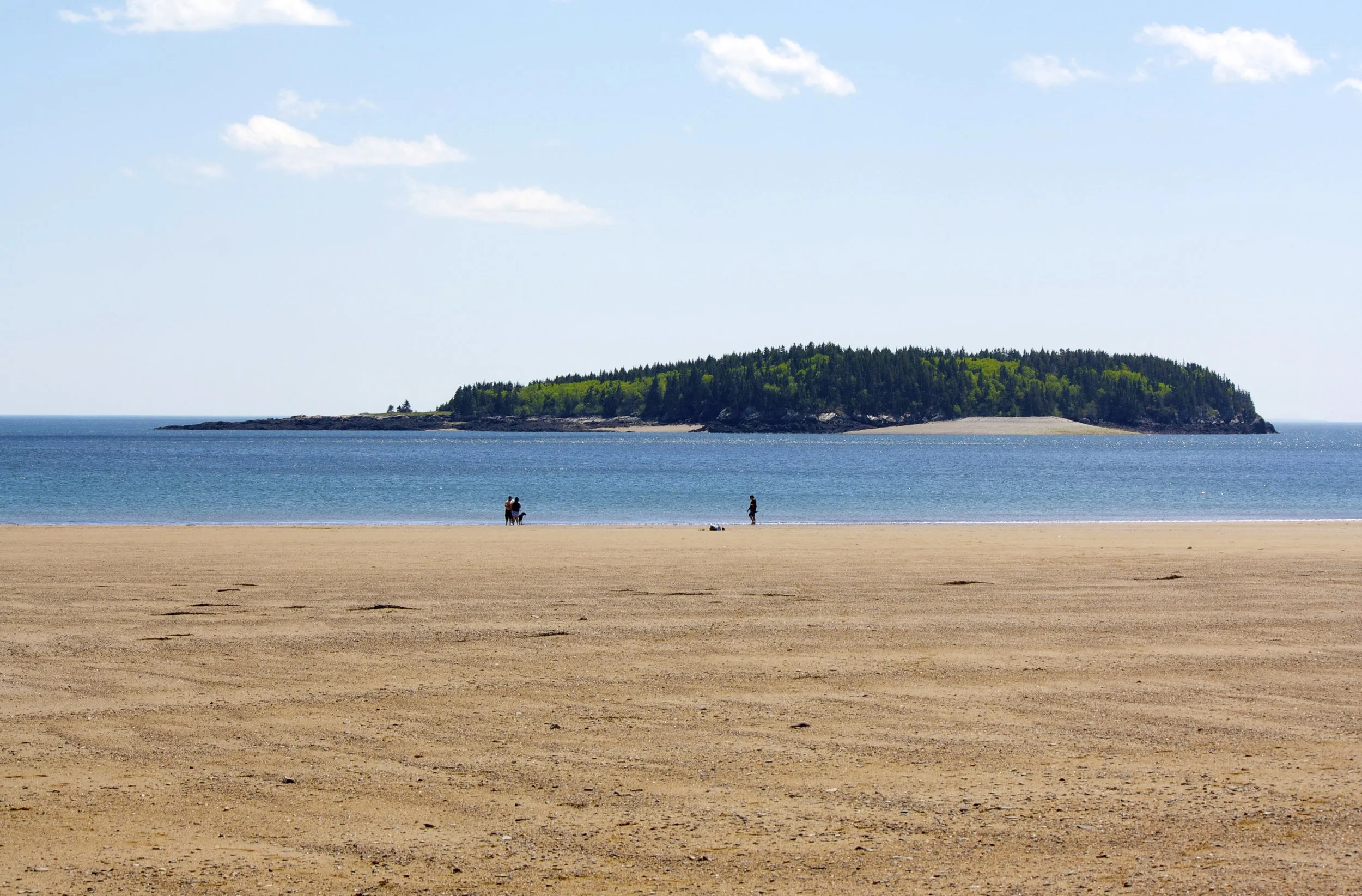 Réserve naturelle de l’île New River - Une Réserve De La Famille Stewart