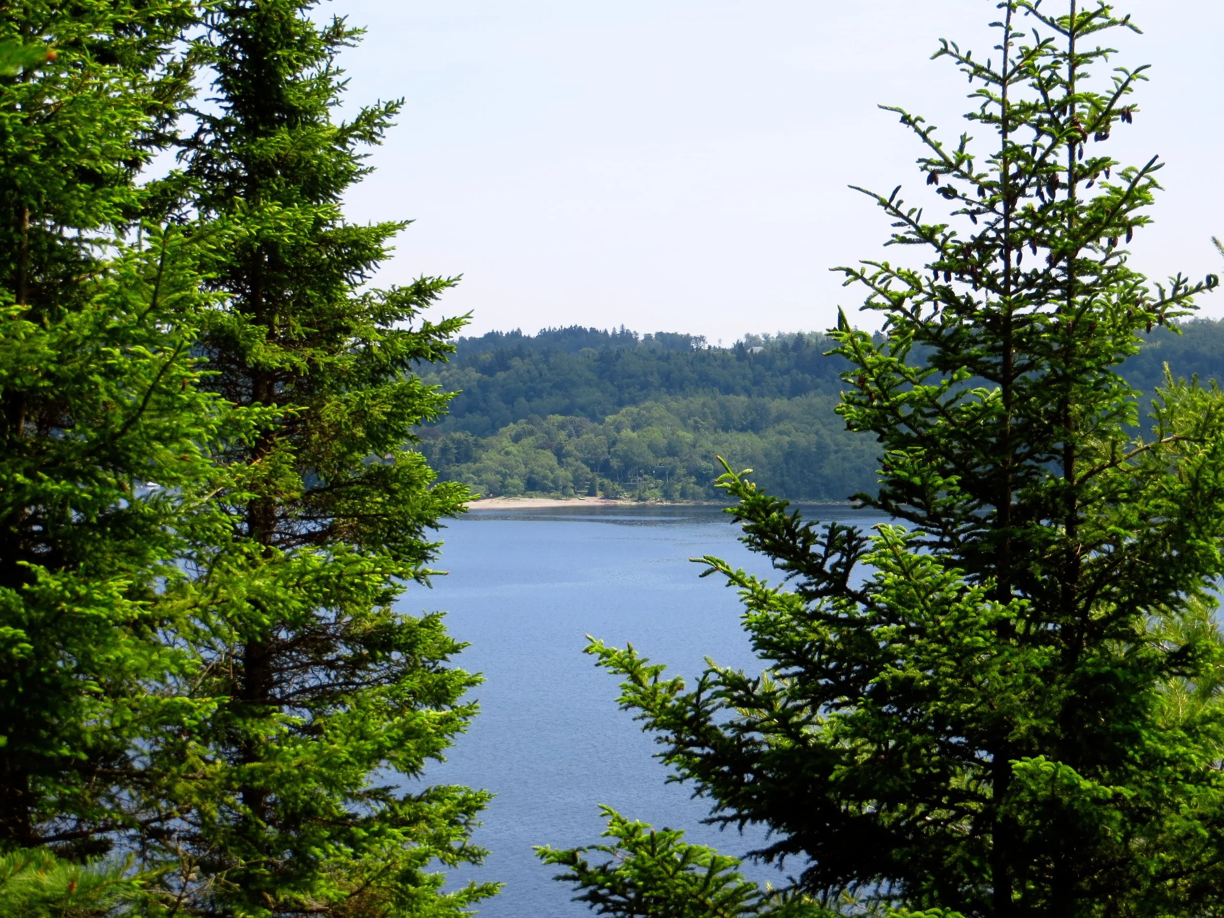 Réserve naturelle Sea Dog Cove