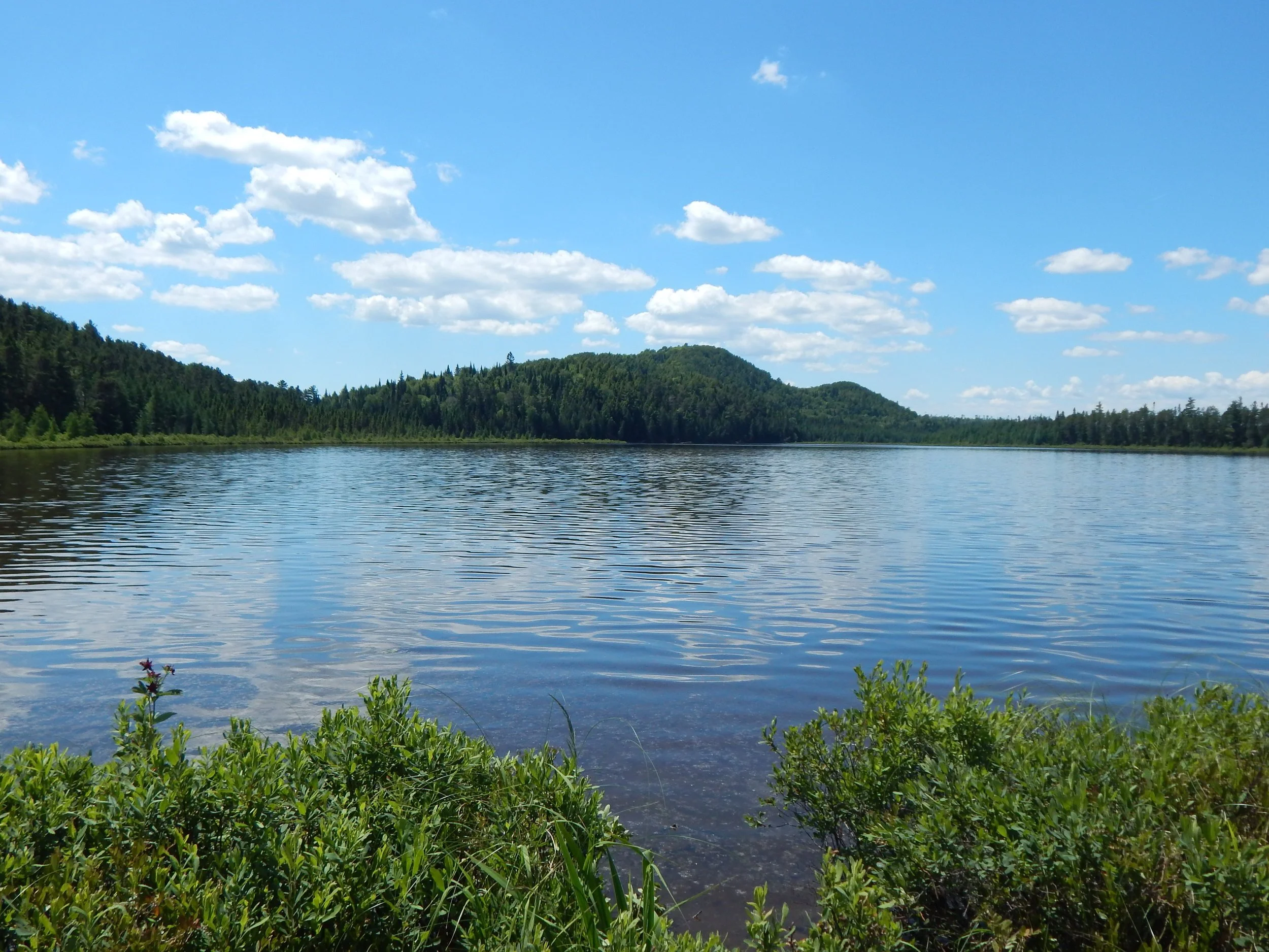 Réserve naturelle du lac Shea