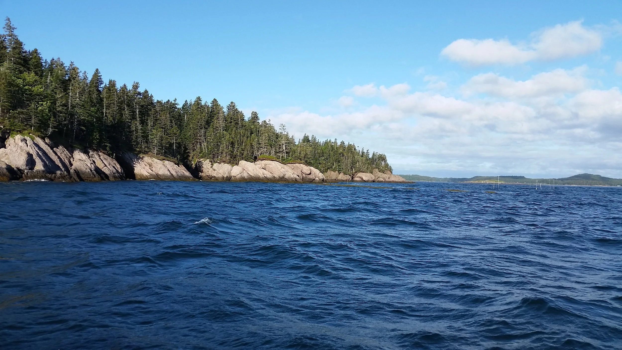La Fondation obtient la Certification d’excellence en conservation