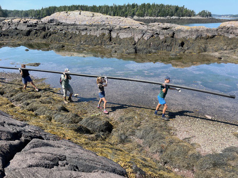 Grand nettoyage côtier de Fundy 2025 à la réserve naturelle des îles Western