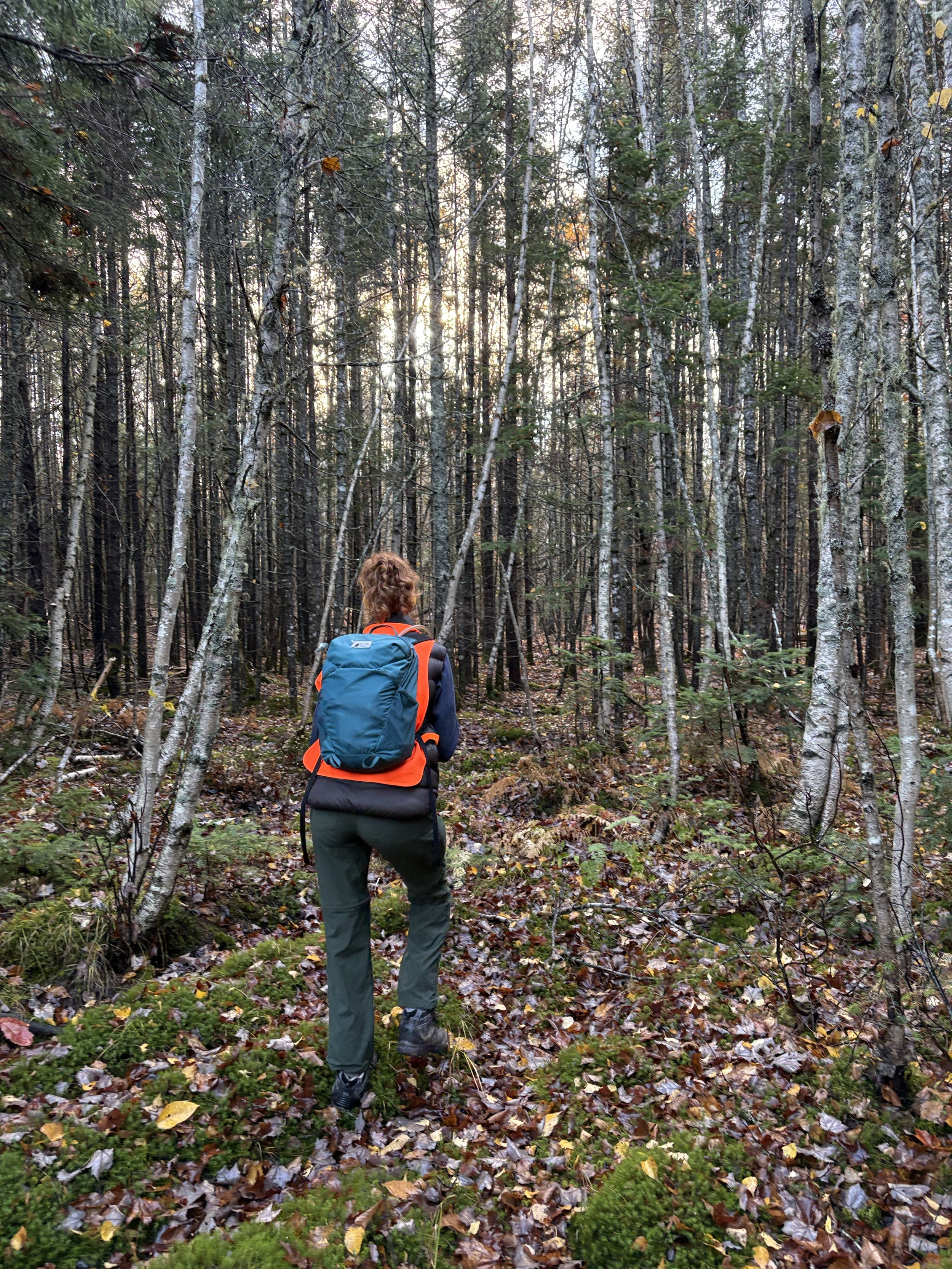 2025-10-23-Diamond Property-Fundraising Visit-VM (1).jpeg