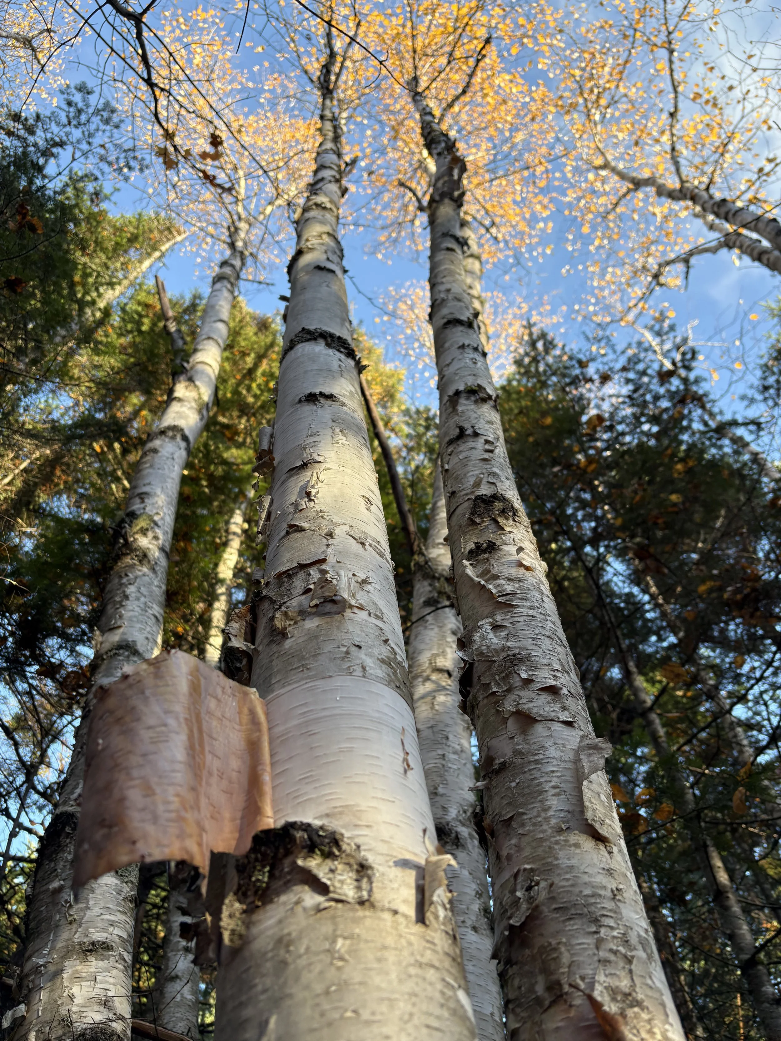 2025-10-23-Diamond Property-Fundraising Visit-VM (13).jpeg