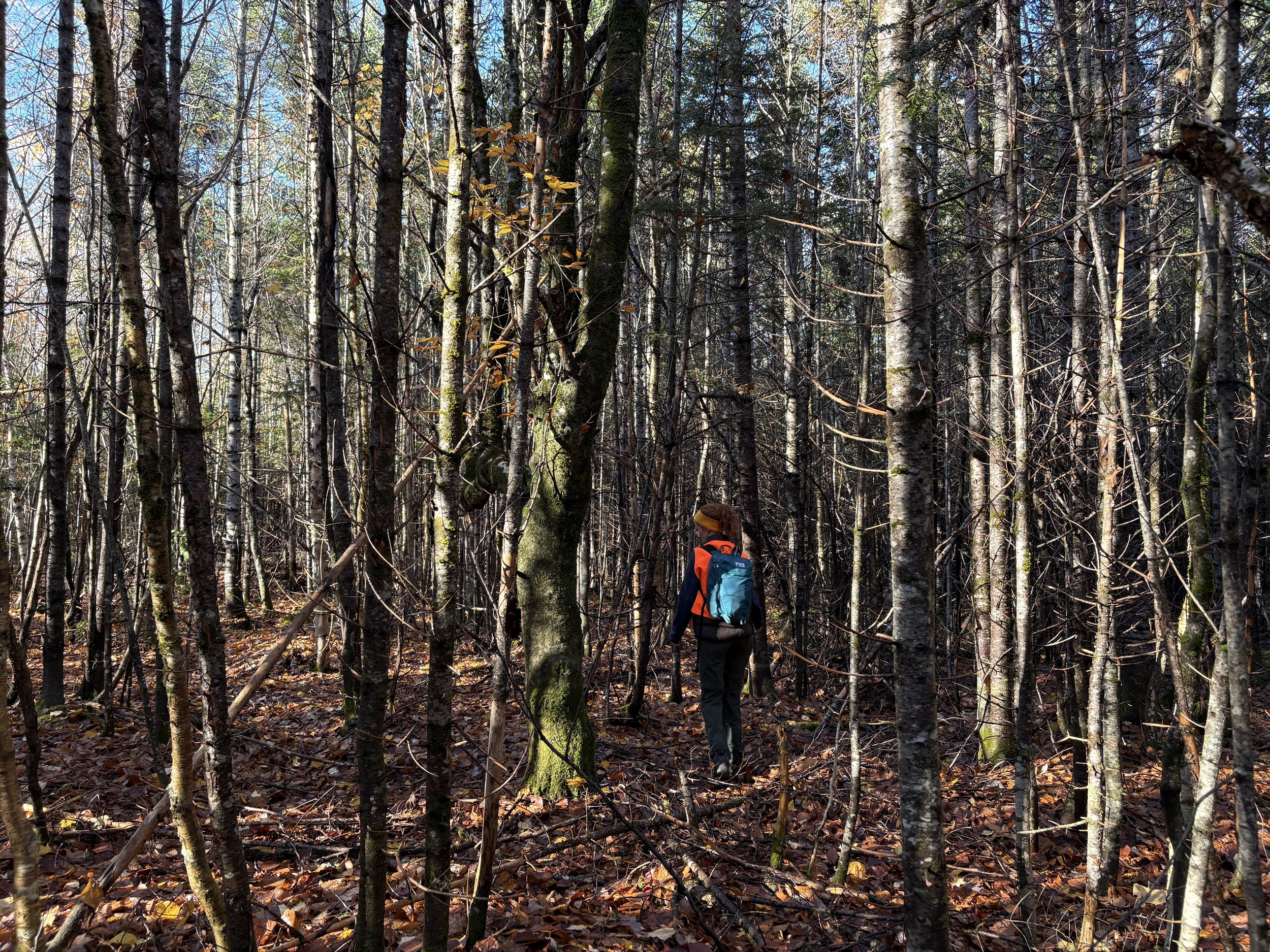 2025-10-23-Diamond Property-Fundraising Visit-VM (118).jpeg