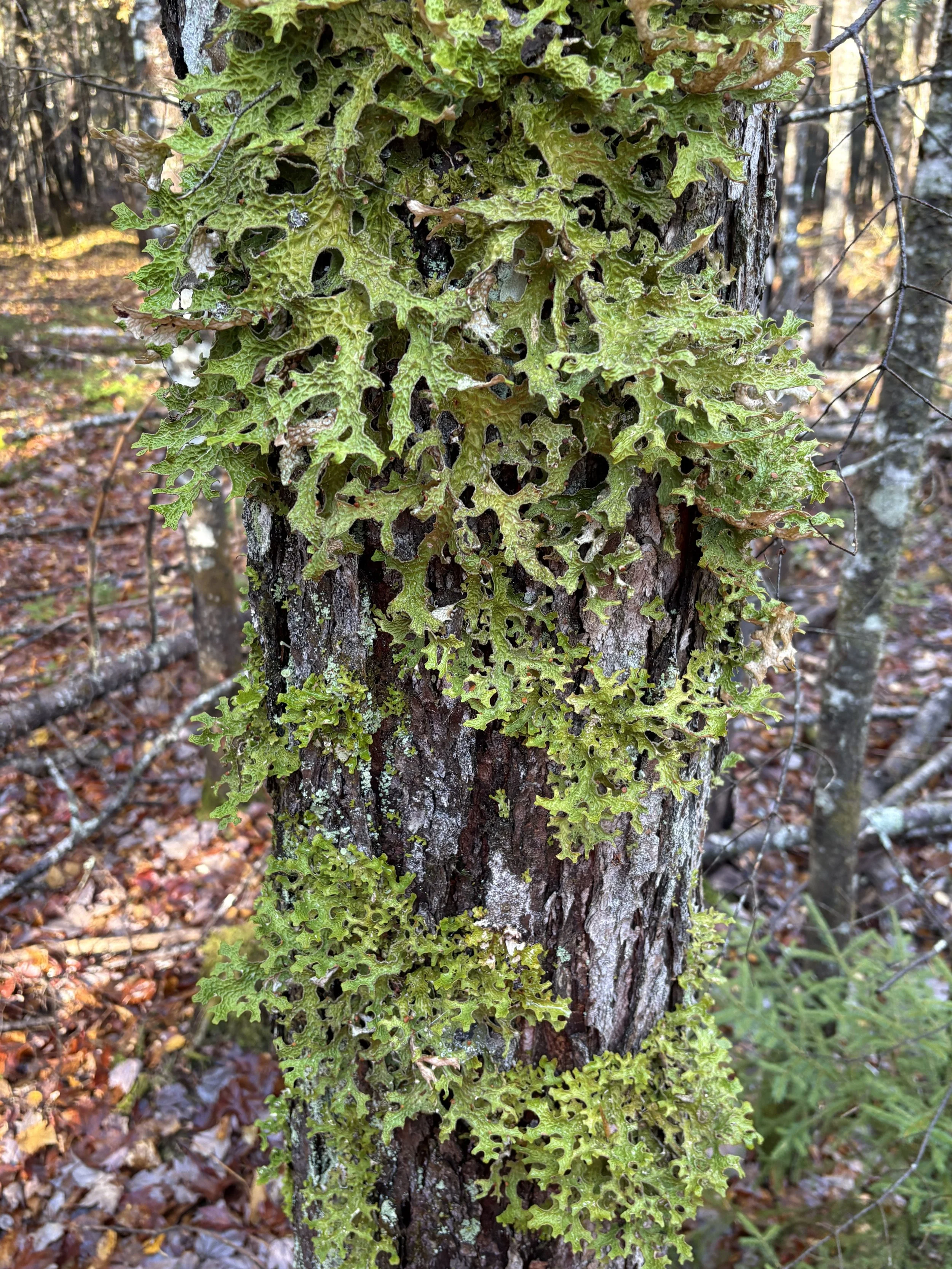 2025-10-23-Diamond Property-Fundraising Visit-VM (106).jpeg