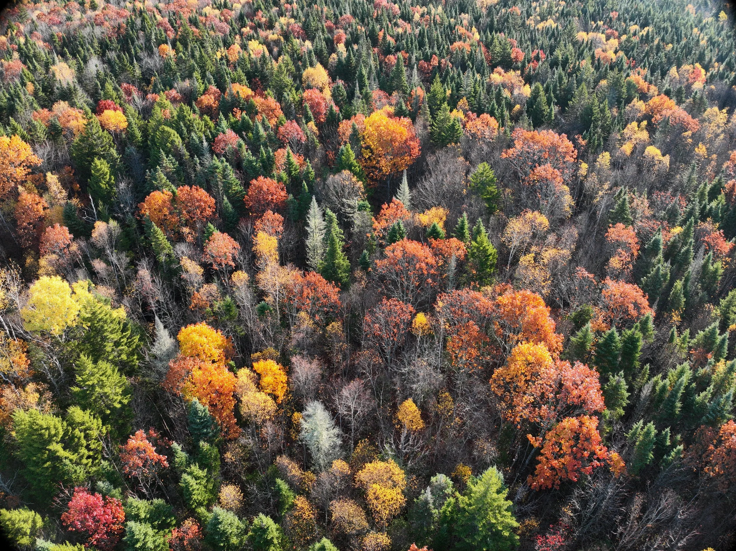DJI_20251023083941_0011_V.JPG