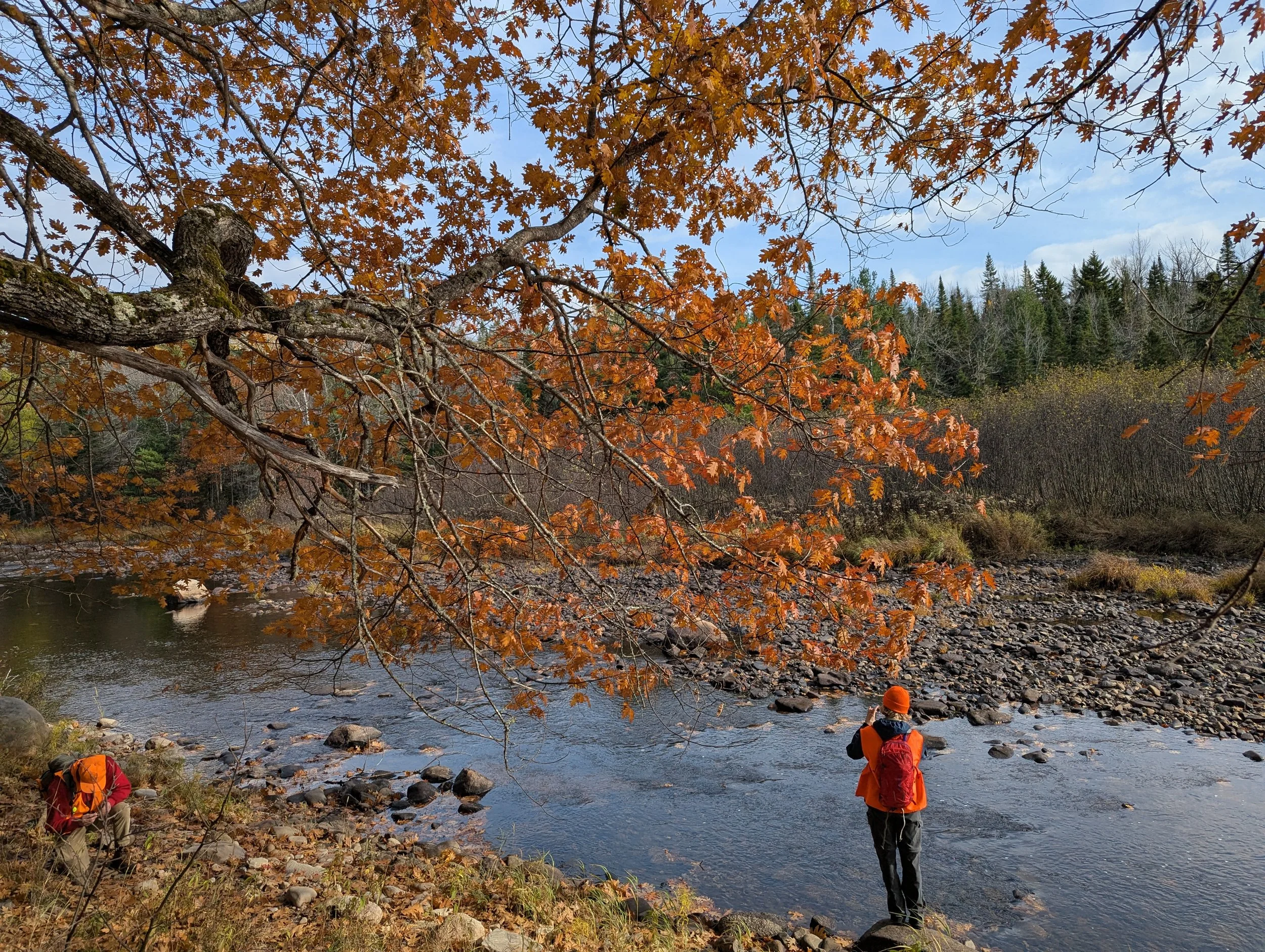 2025-10-23-Golding-Fundraising Content-Orange Tree on RiverJM (146).jpg
