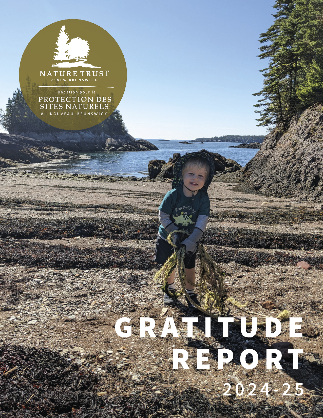 Our 2024-25 Gratitude Report is here