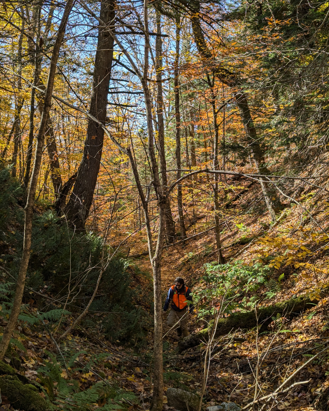 Kincardine Ridge Nature Preserve