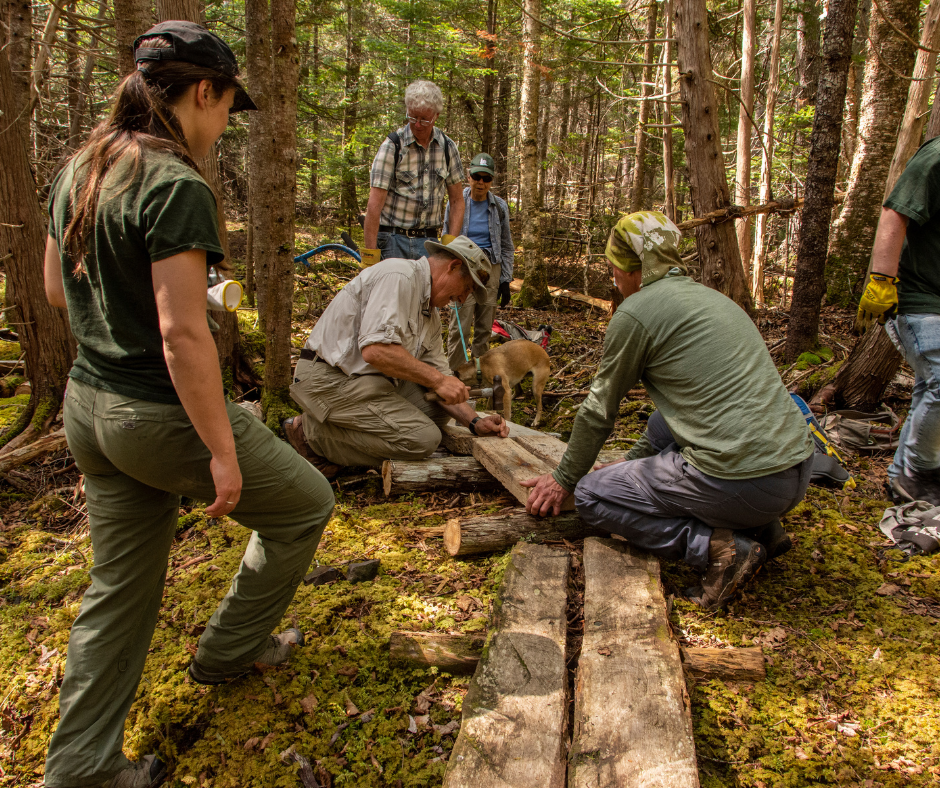 Nature Trust of New Brunswick Trails