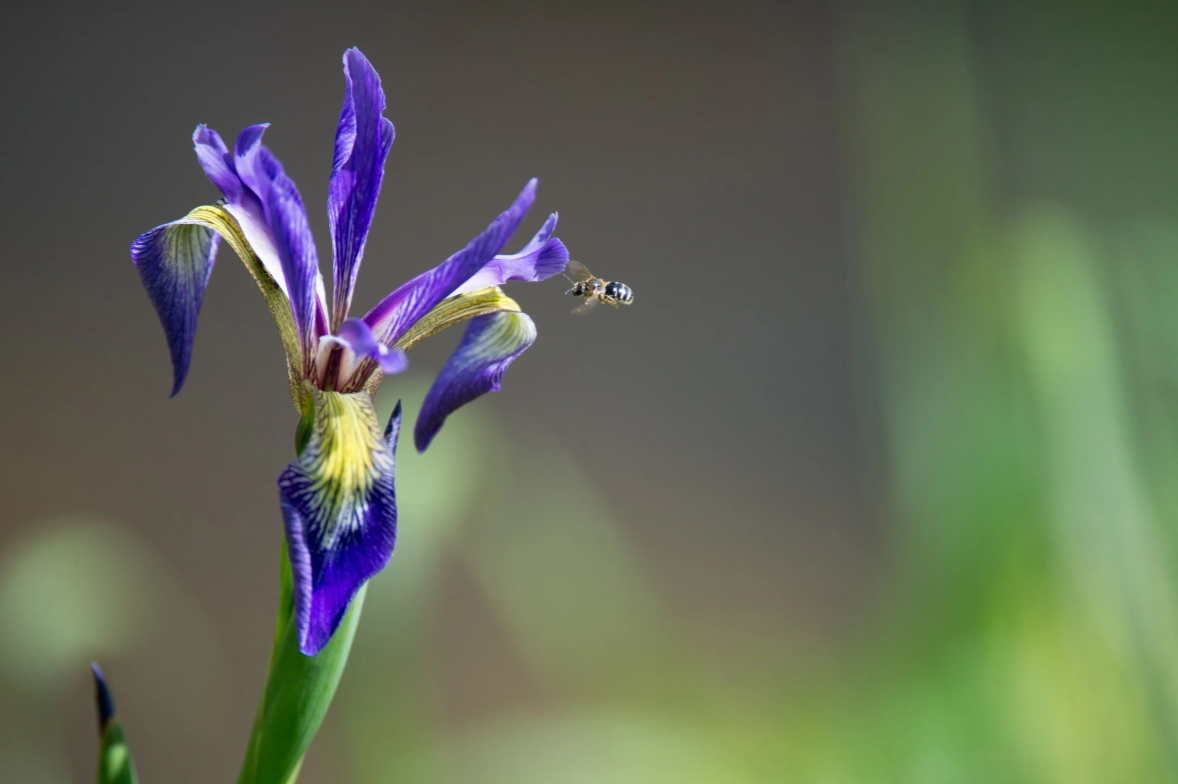 Apprendre de la terre