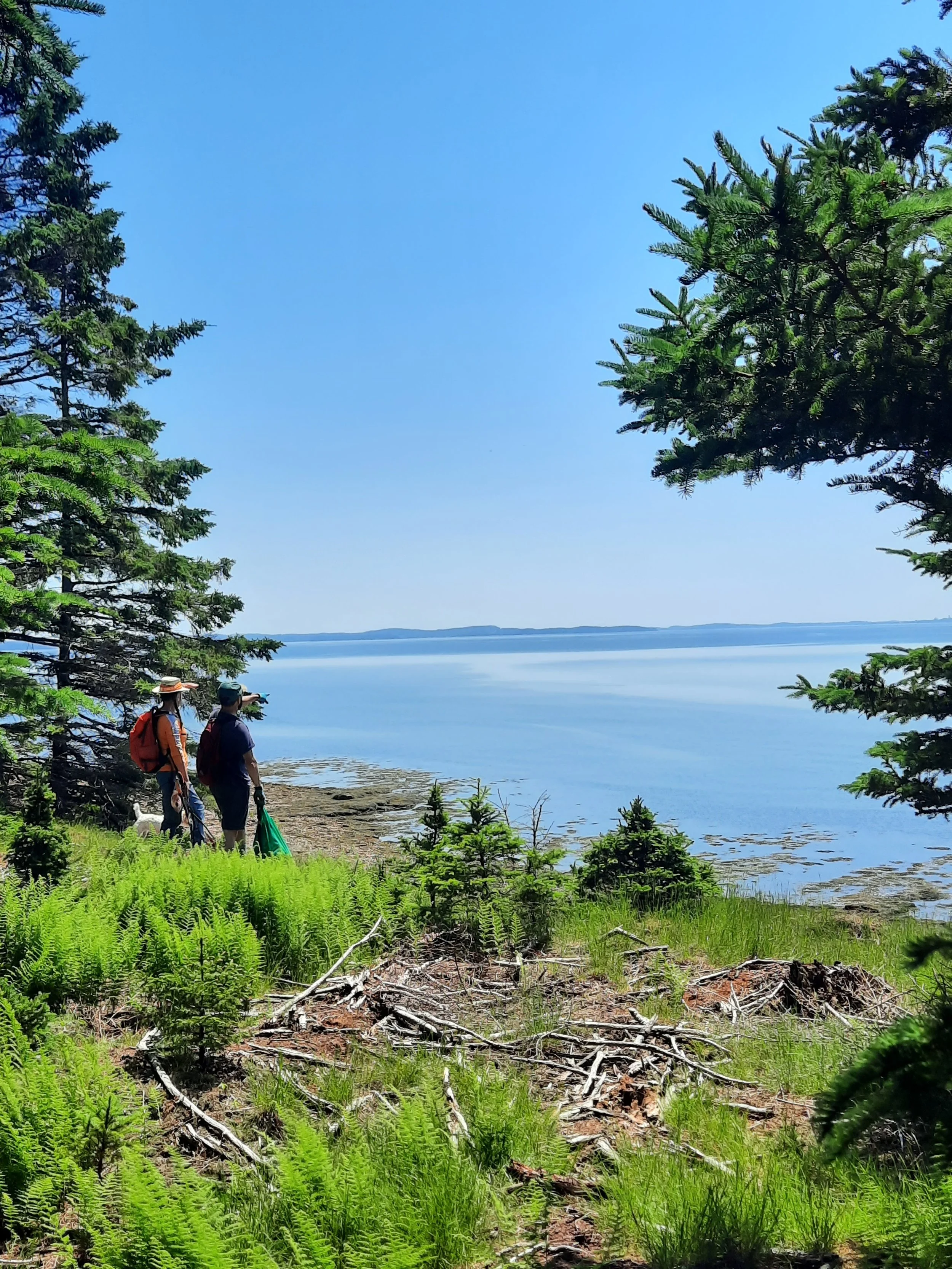 Explore our public trails — by region!