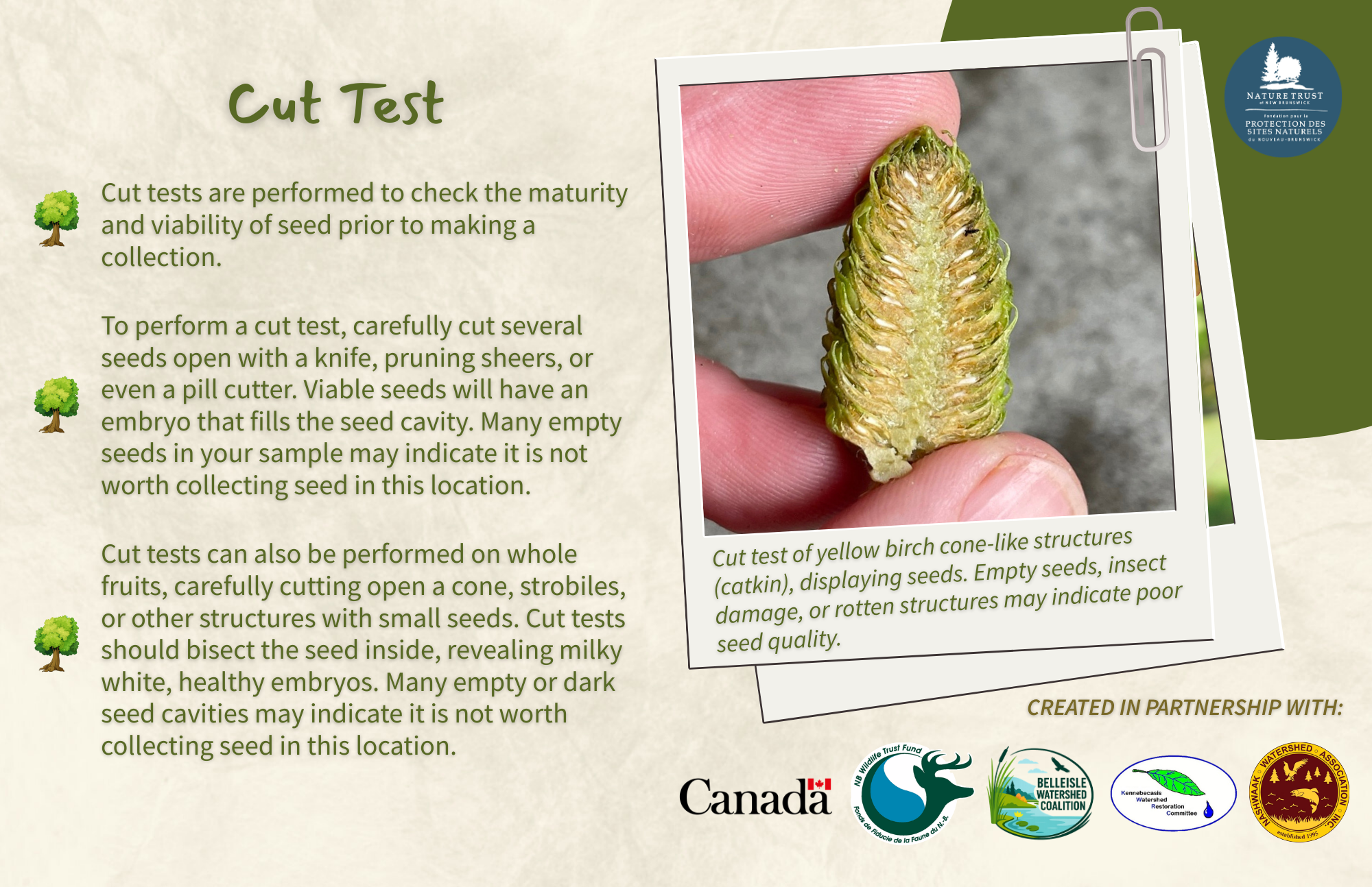 Cut_Float Test - Front.png