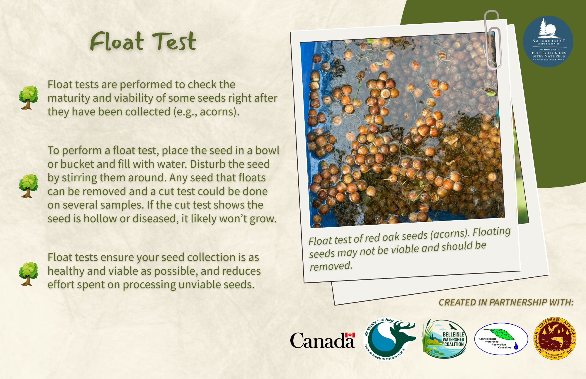 Cut_Float Test - Back.png