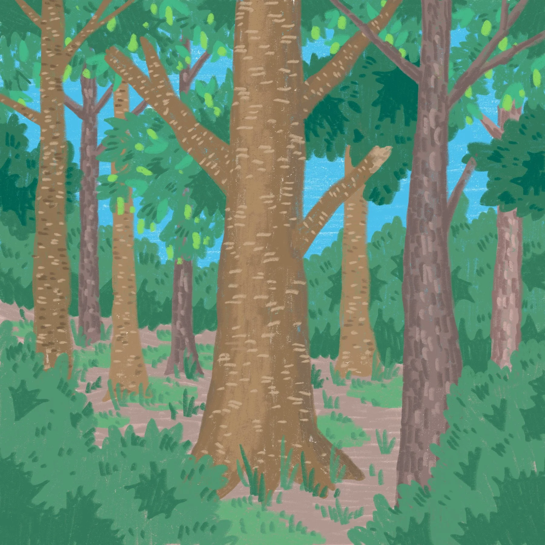 From seed to sapling