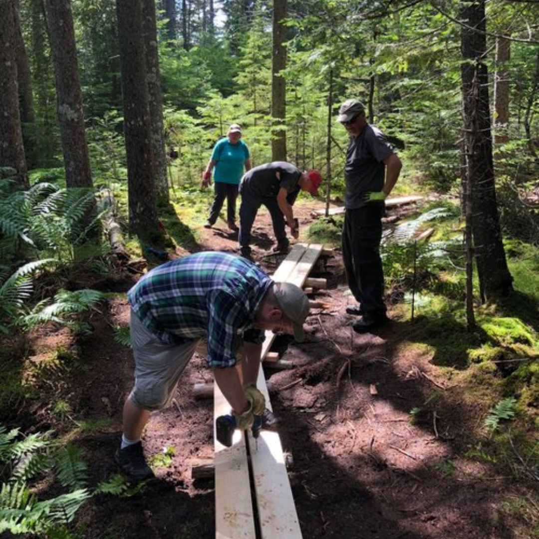 Volunteer Training Day - Boars Head Nature Preserve
