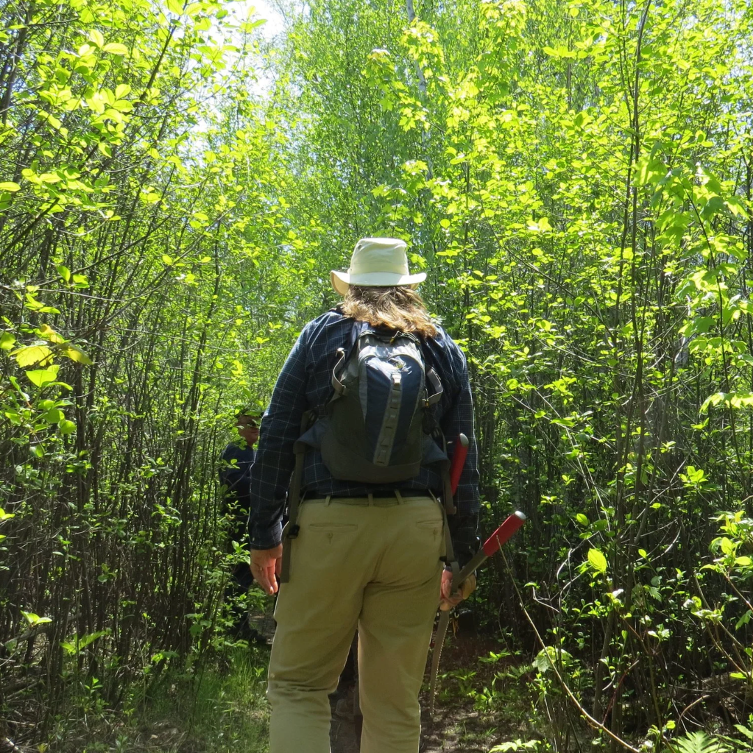 Volunteer Training Day – Hyla Park Nature Preserve