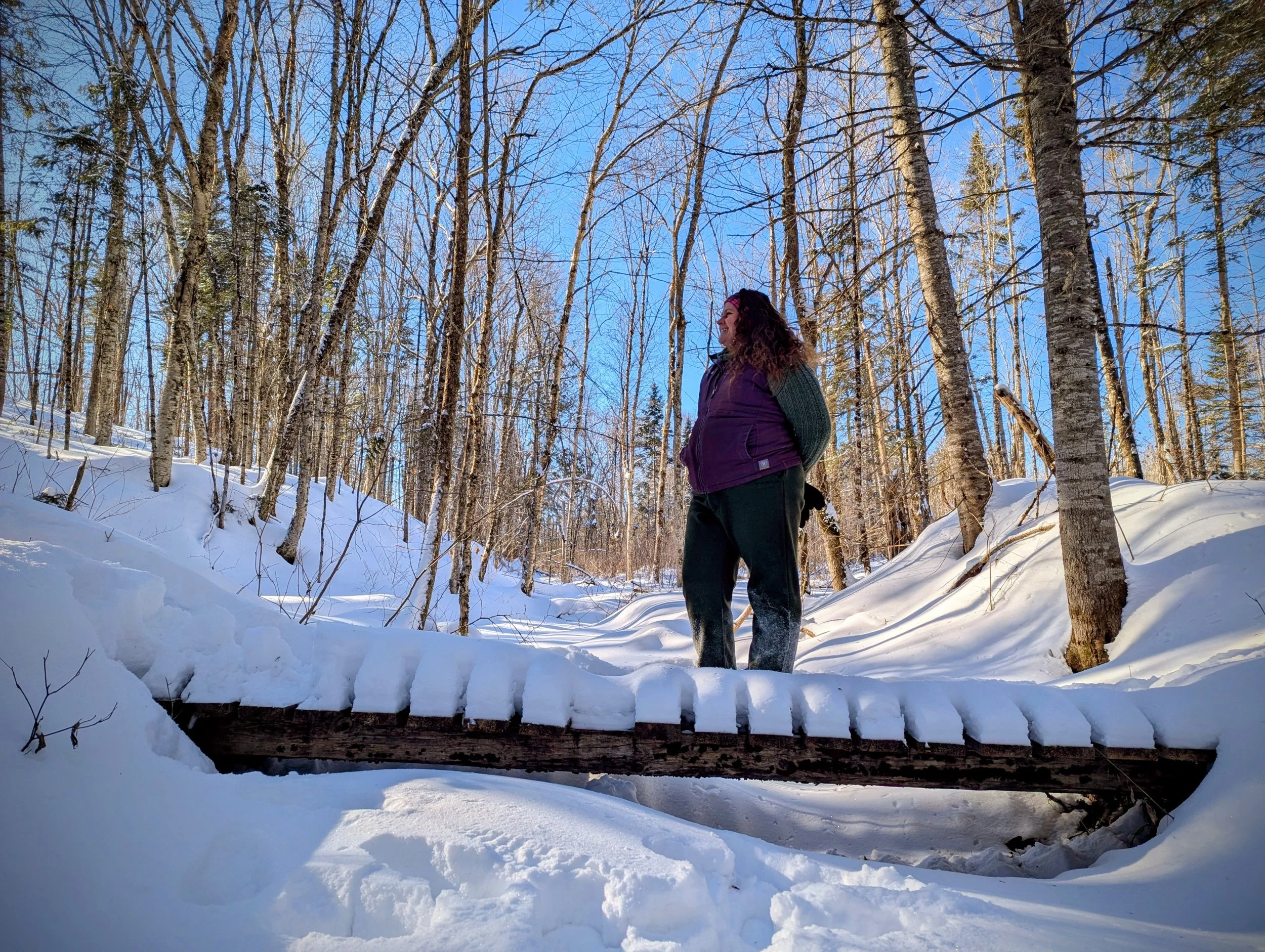 From clearcut to comeback