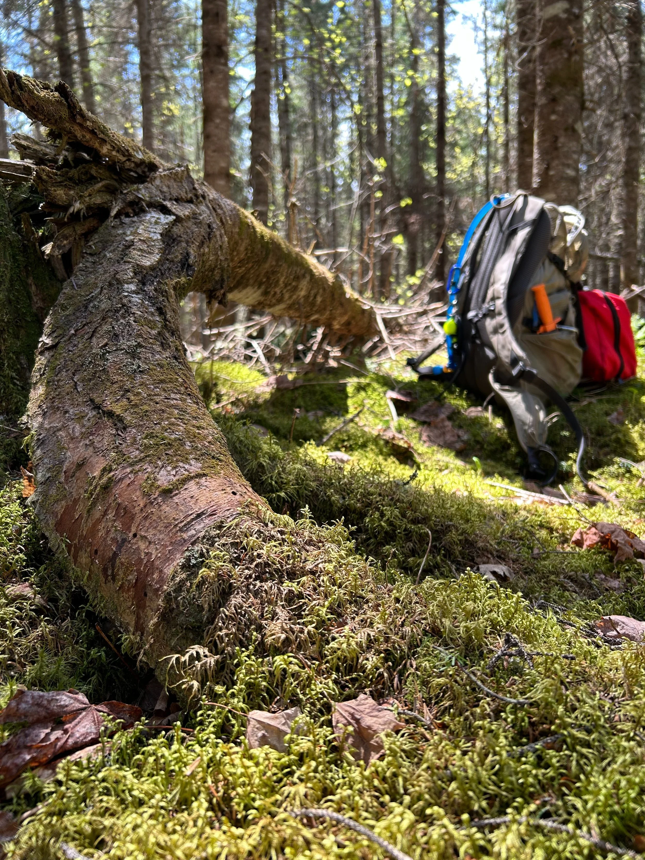 Devenez bénévole, faites la différence