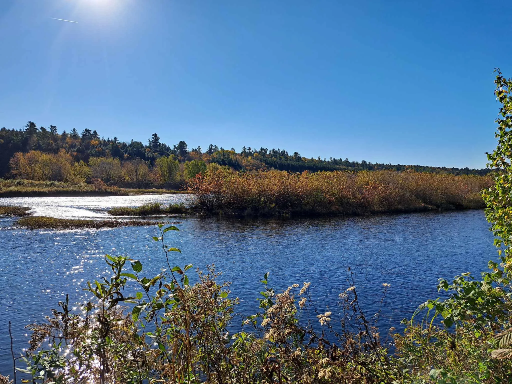 Riparian Wilds of the Southwest Miramichi (Official Name Pending)