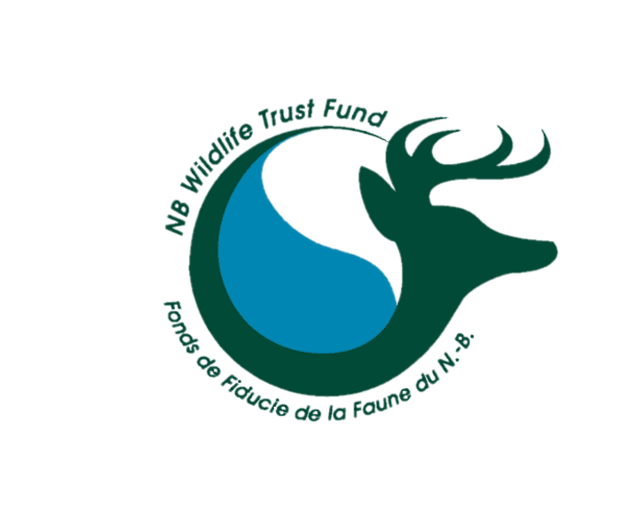 WTF-Logo-No-Background.png