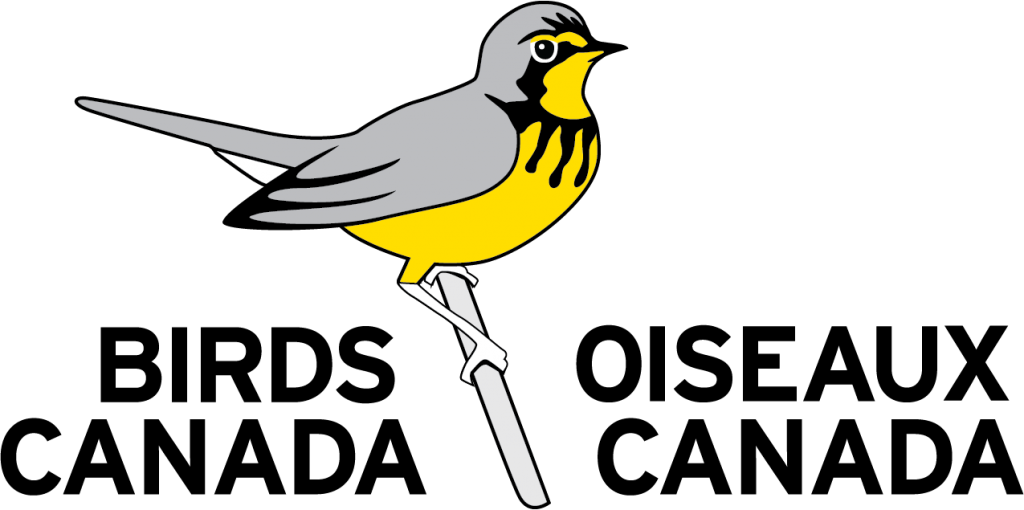 1.-BirdsCanada-logo-en-1024x510-1.png