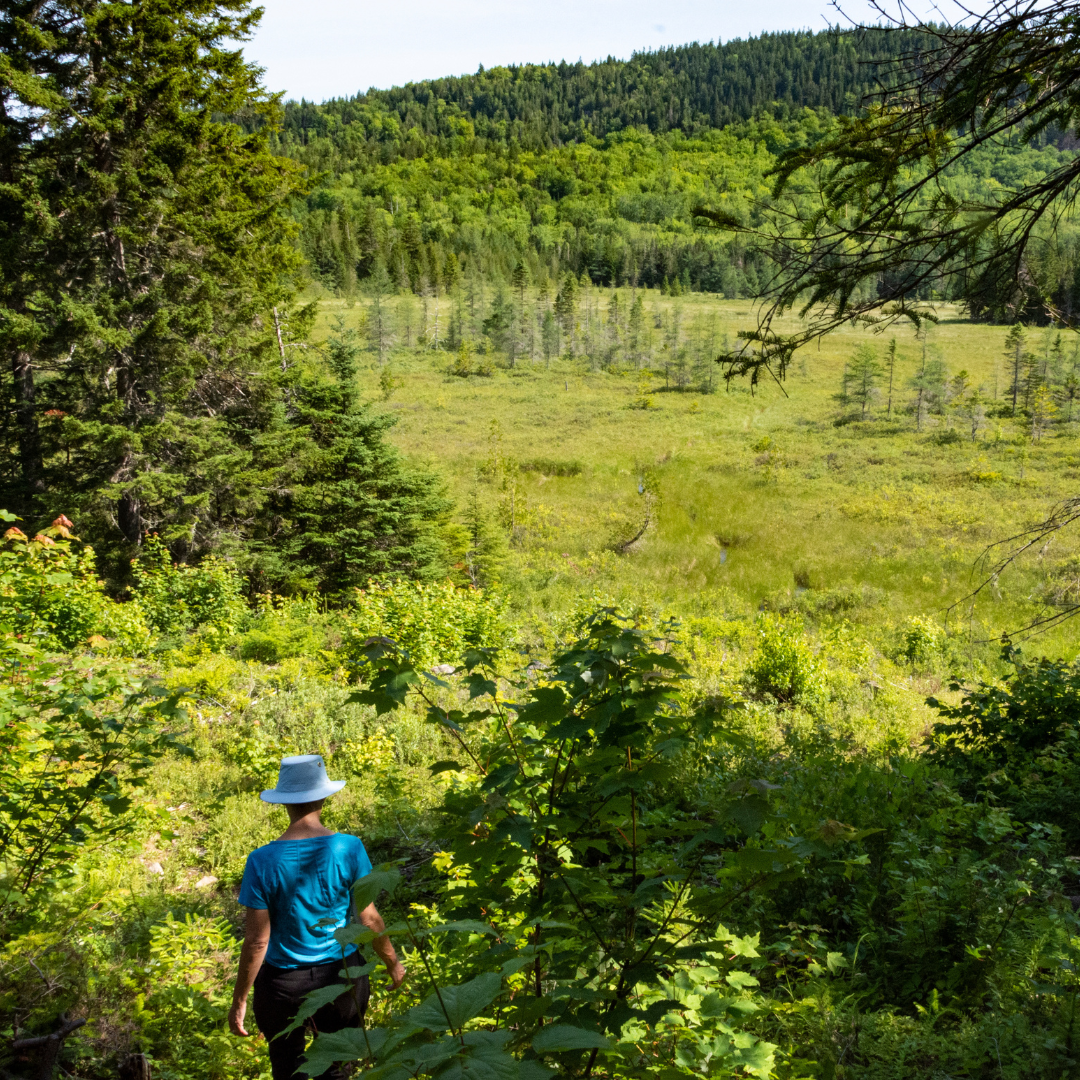 Présentation de la Fondation pour la protection des sites naturels au Musée régional du Restigouche 