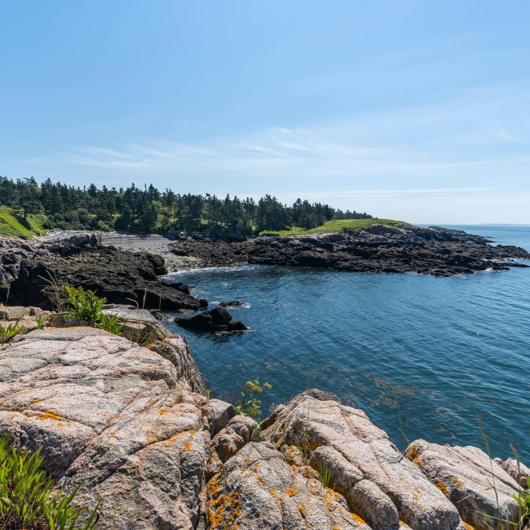 Great Fundy Coastal Cleanup Webinar