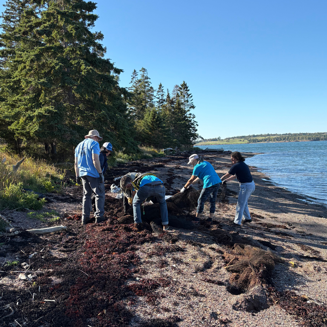11th Annual Great Fundy Coastal Cleanup
