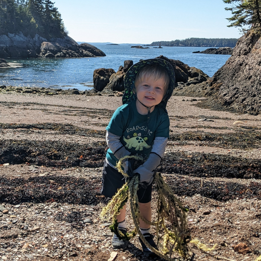 Great Fundy Coastal Cleanup at Connor Bros. Nature Preserve at Pea Point