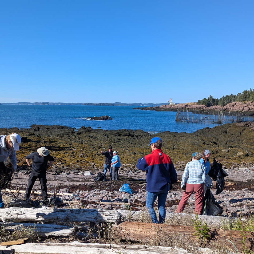 Grand nettoyage côtier de Fundy à la réserve naturelle de l'île Bliss 