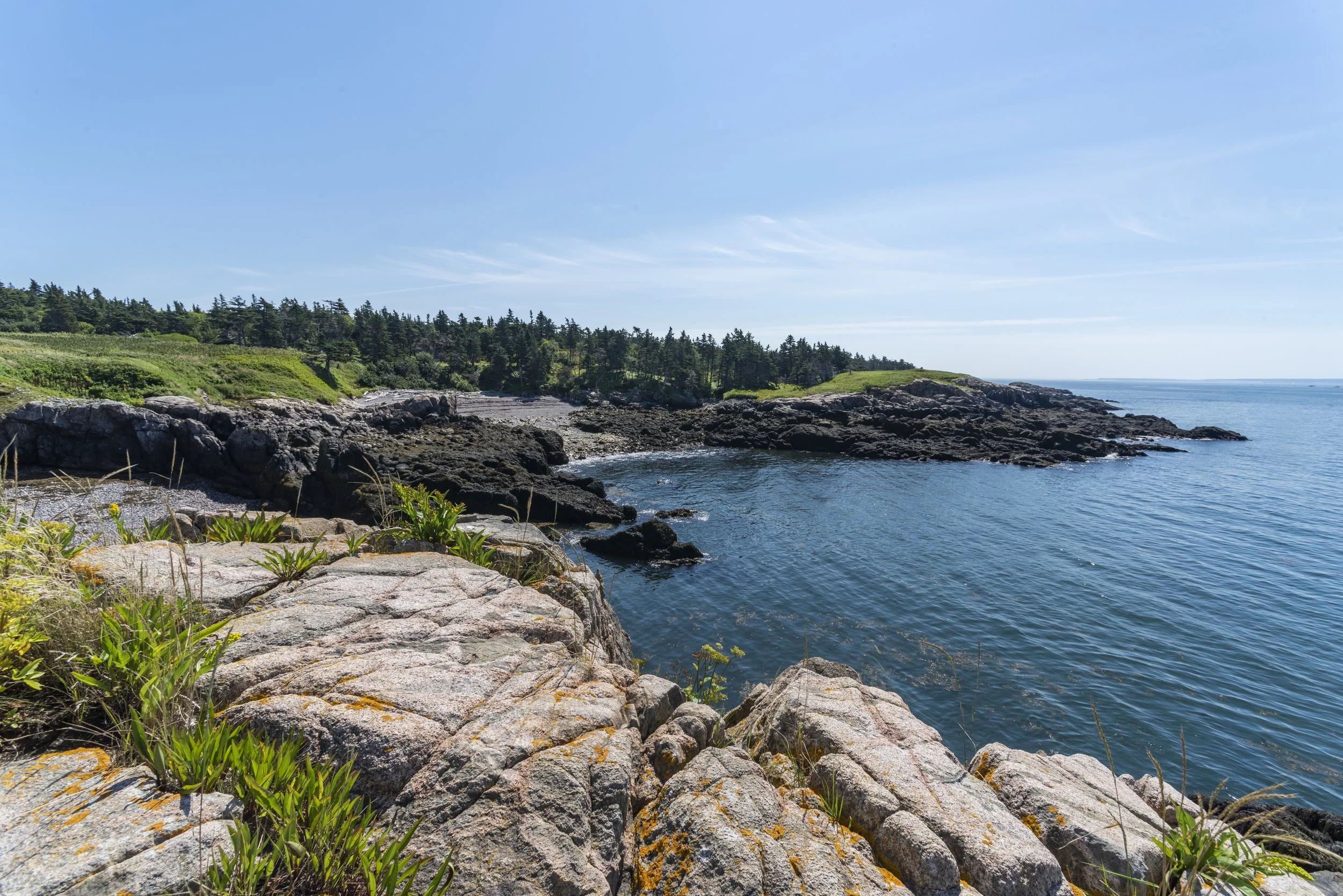Webinaire pour le Grand nettoyage côtier de Fundy
