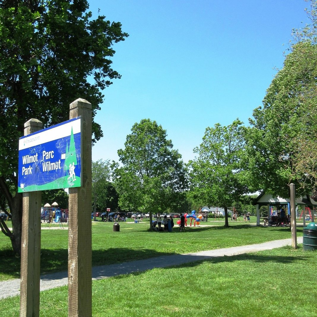 Great Fundy Coastal Cleanup at Wilmot Park