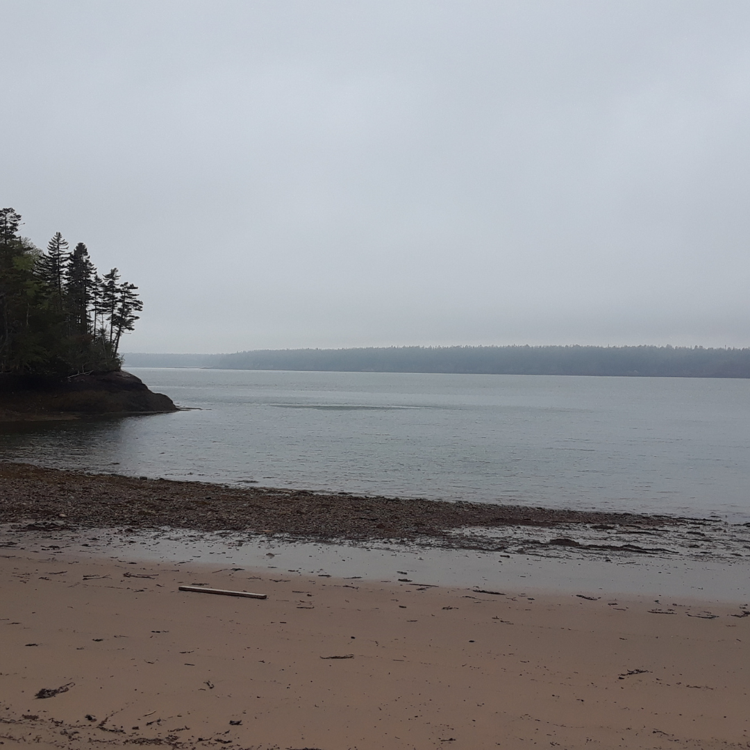 Great Fundy Coastal Cleanup at McPherson's Point Nature Preserve