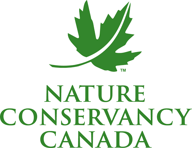 NCC logo.png