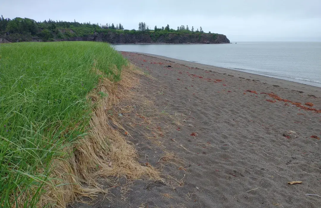 Great Fundy Coastal Cleanup at McLeod's Beach