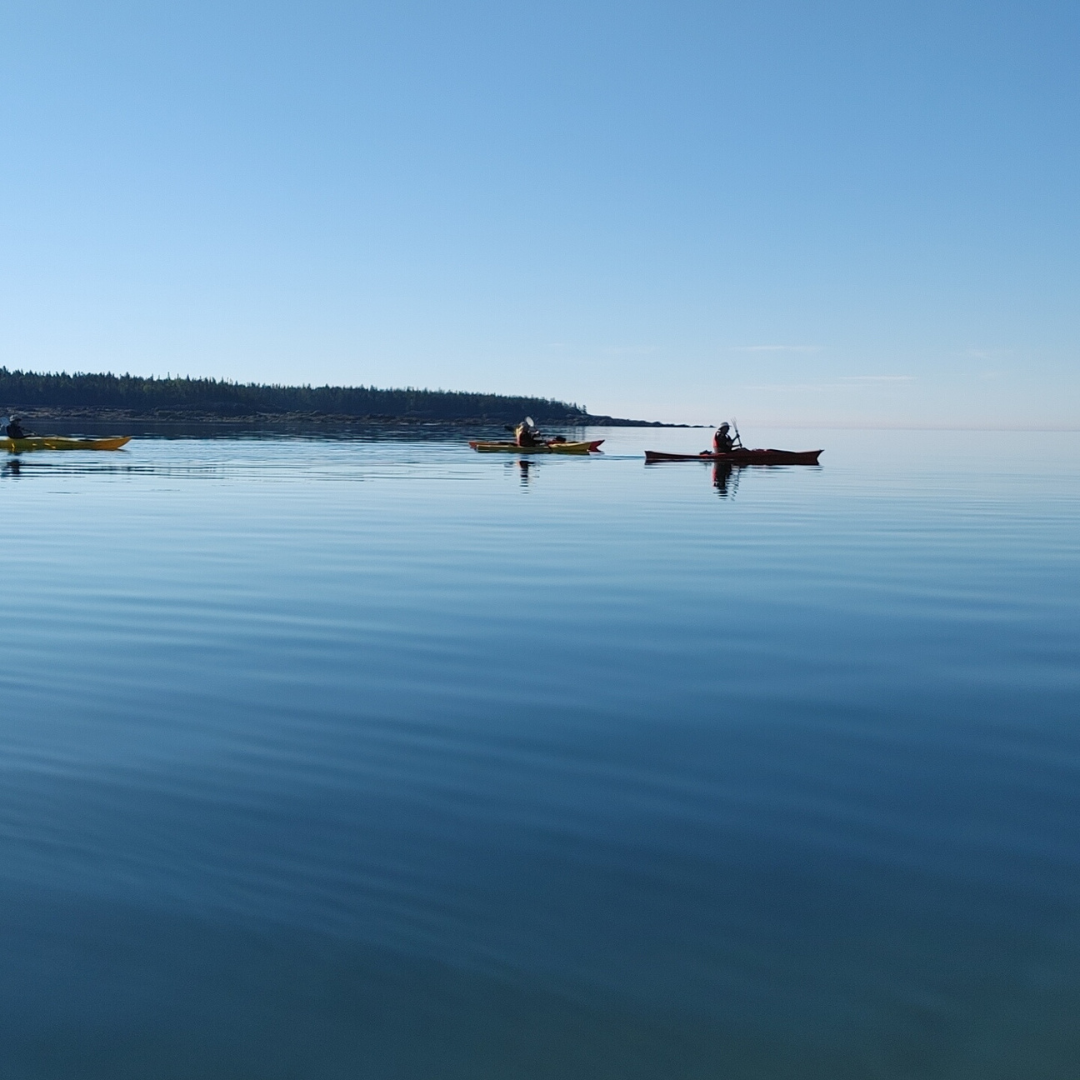 Great Fundy Coastal Cleanup at Bayshore Beach
