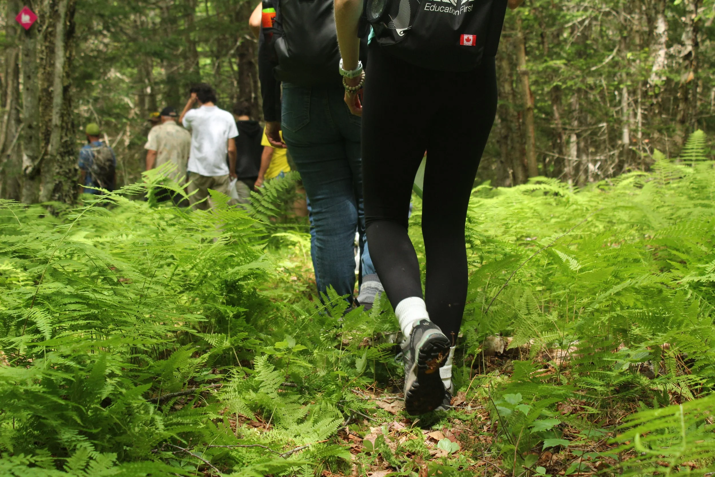 Volunteer Training Day at Mount Misery Nature Preserve