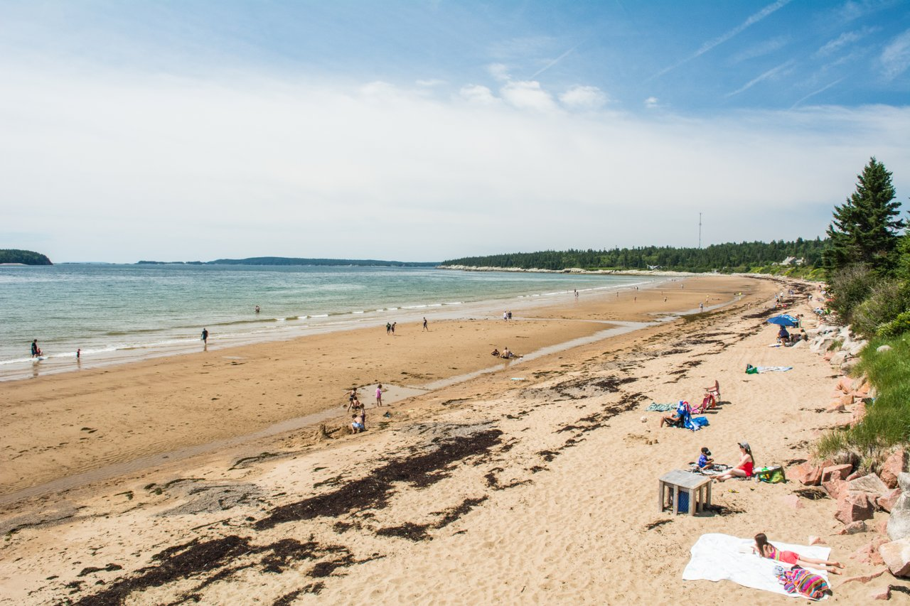 Great Fundy Coastal Cleanup at New River Beach