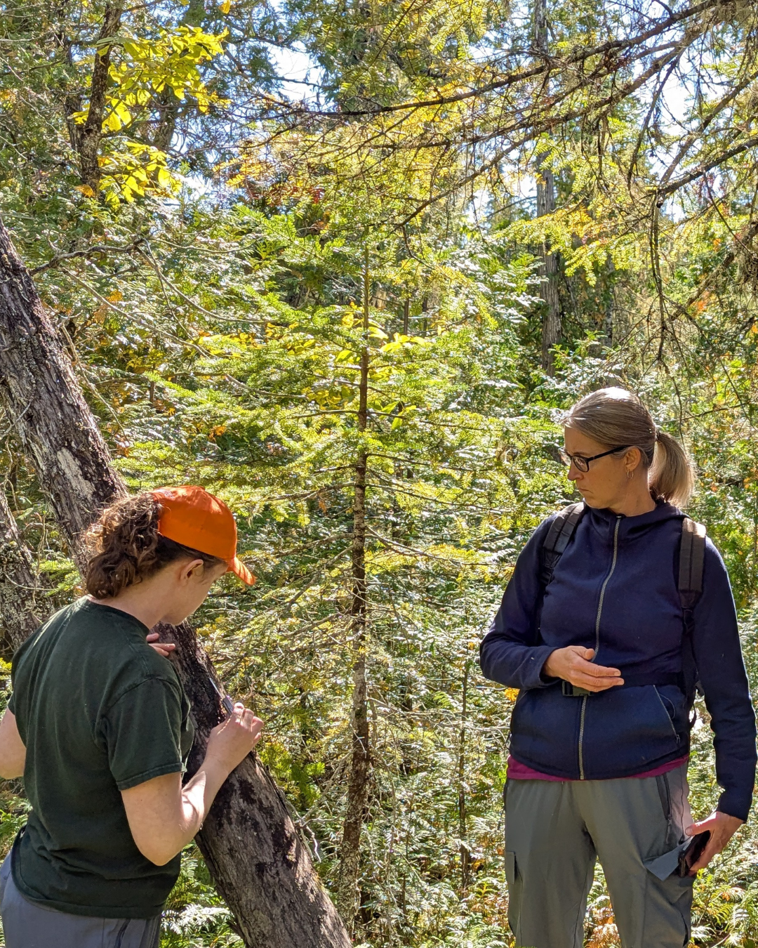 Forested Wetlands Workshop in Perth-Andover