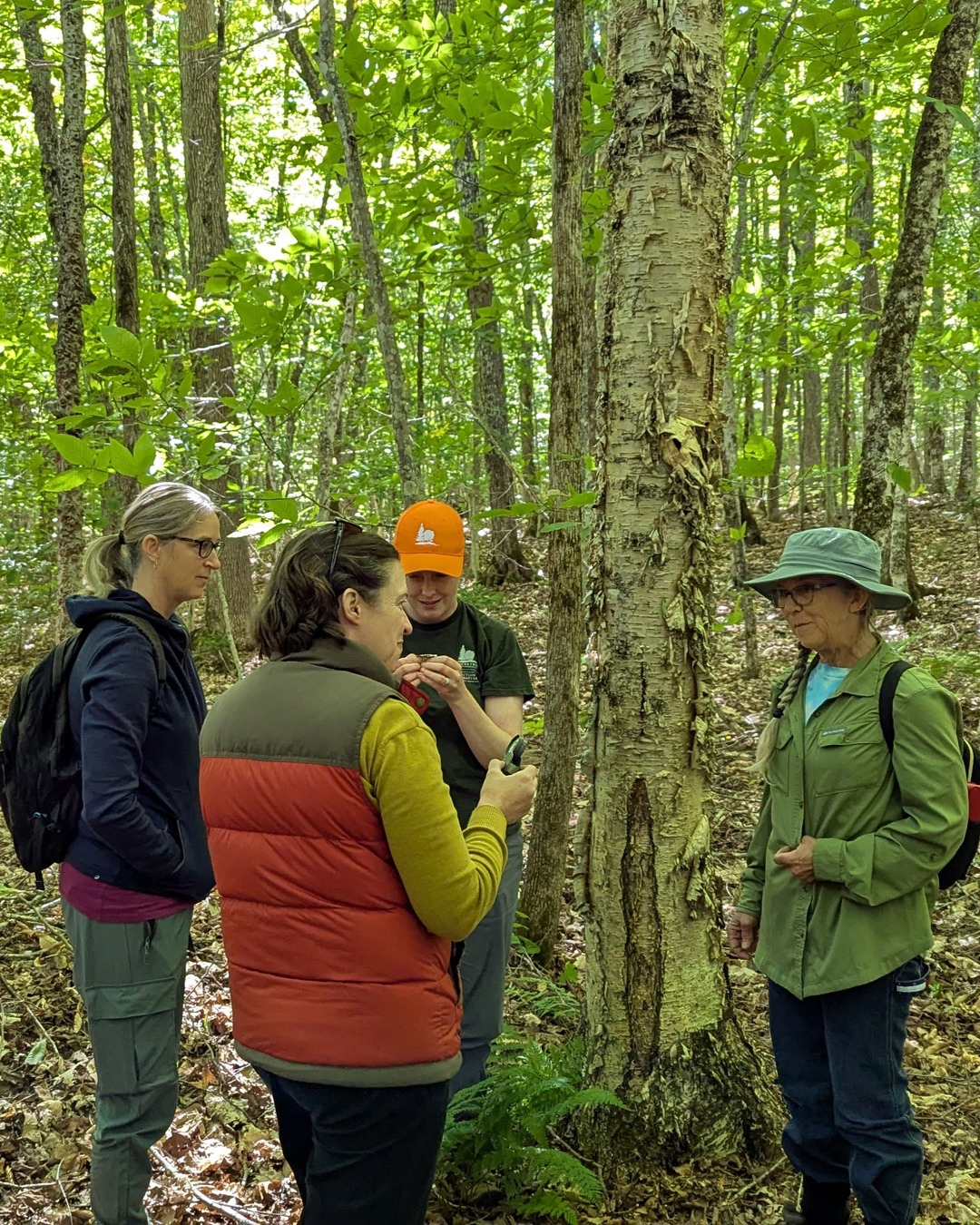 Forested Wetlands Workshop in Campbellton