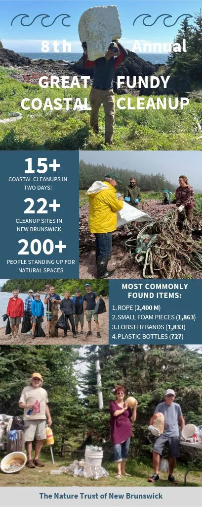 GFCC 2023 Infographic.jpg