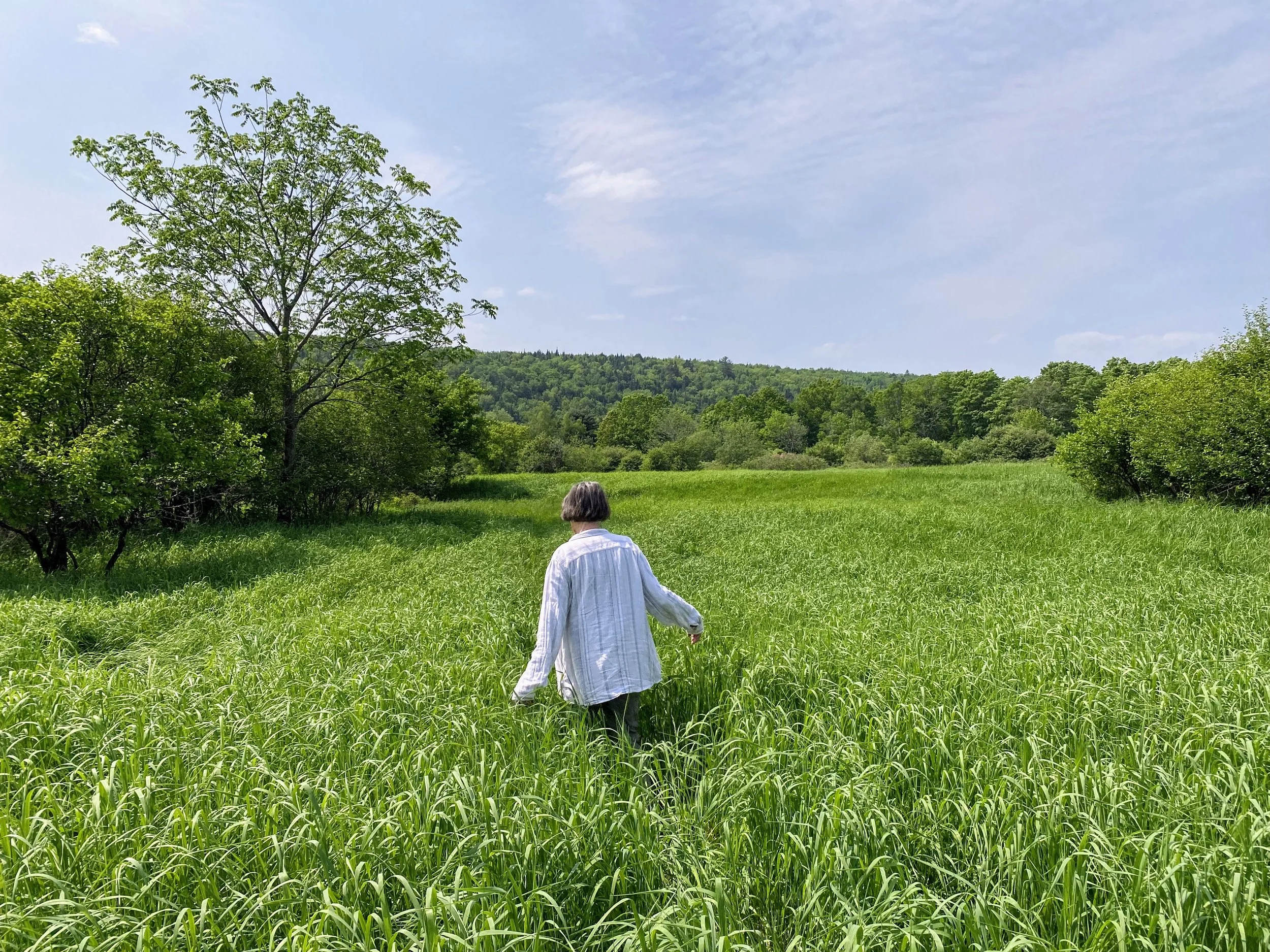 Préserver la nature et les souvenirs