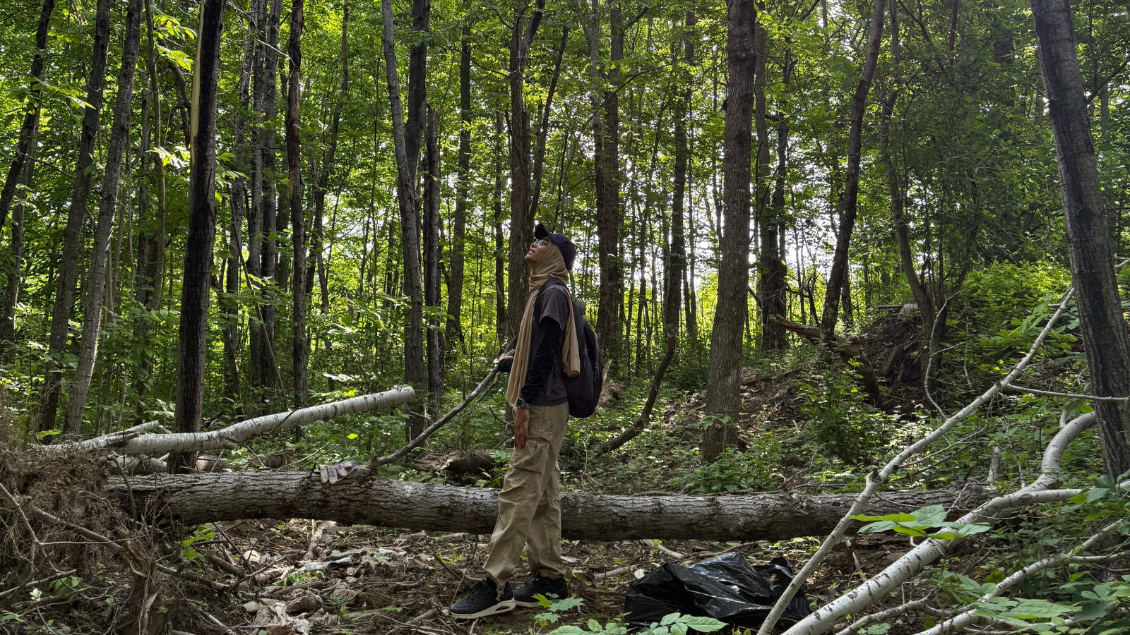 L'été où je suis tombée en amour avec la nature