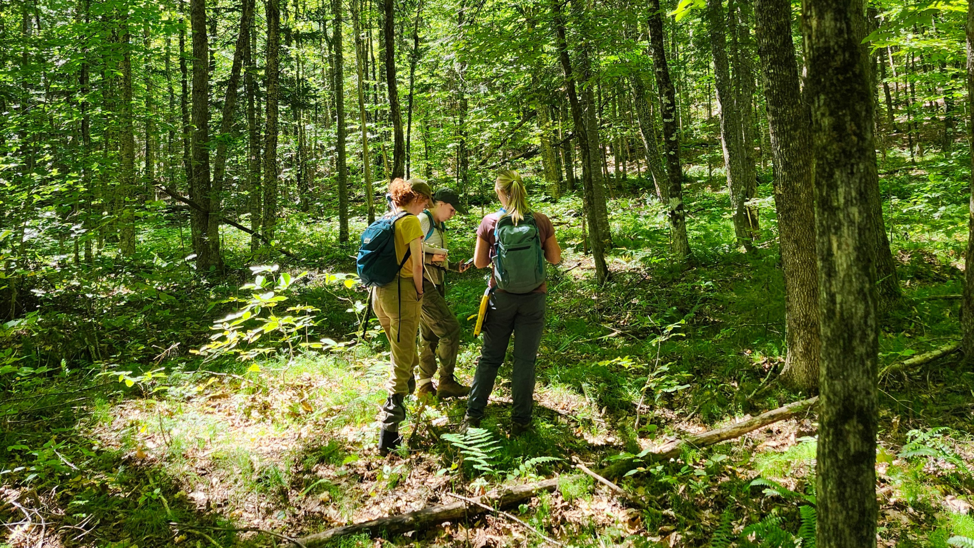 Let’s Vote for Nature this Election!