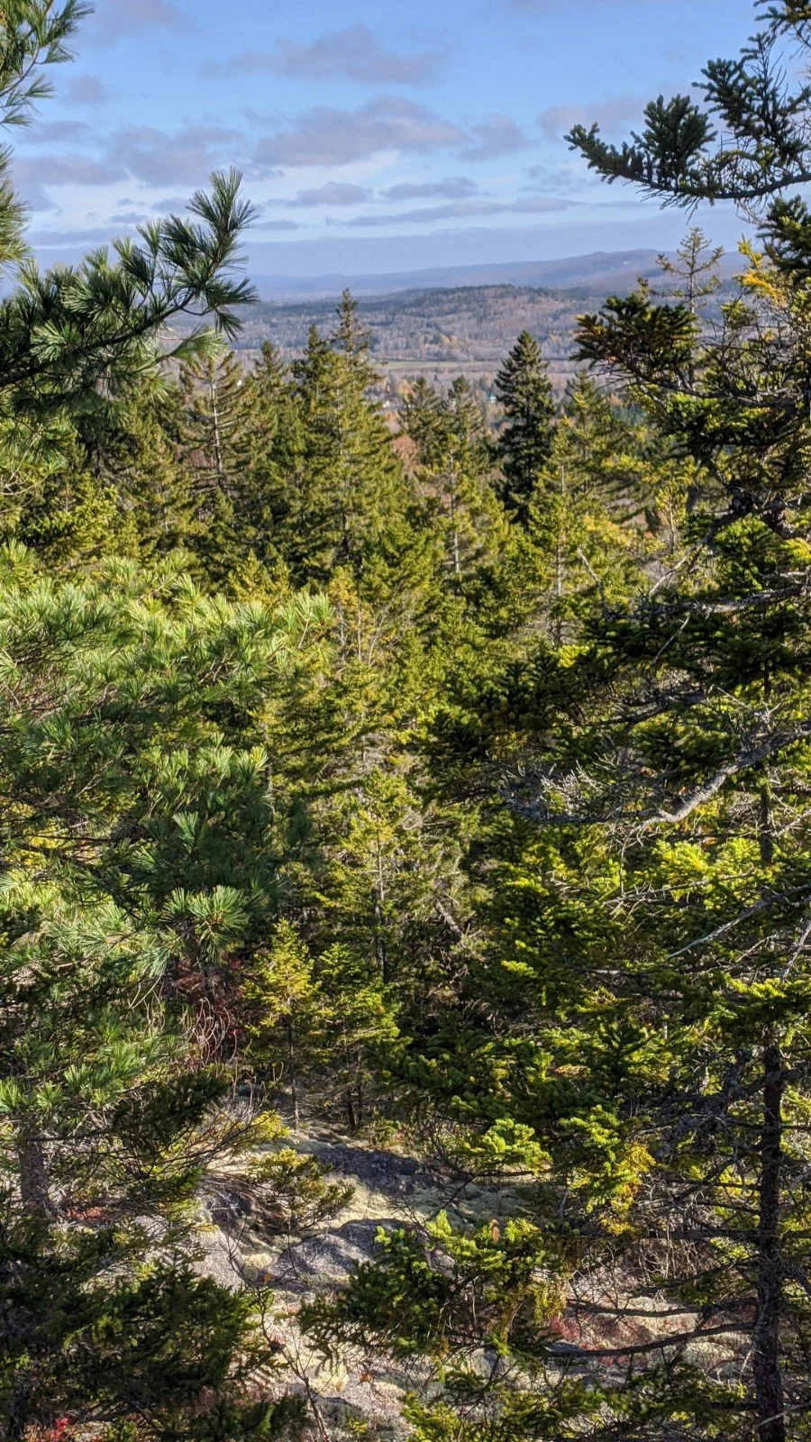 Réserve naturelle Bonny River