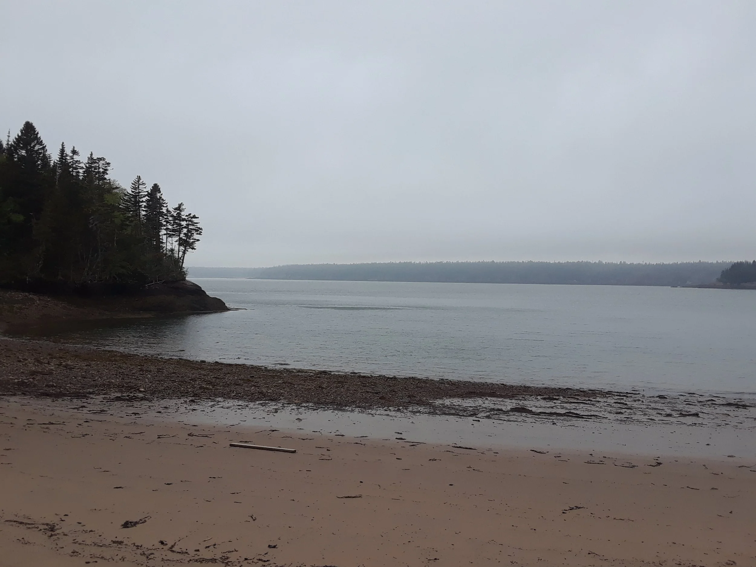 2020_Malloch_baseline_CleRoux (3).jpg